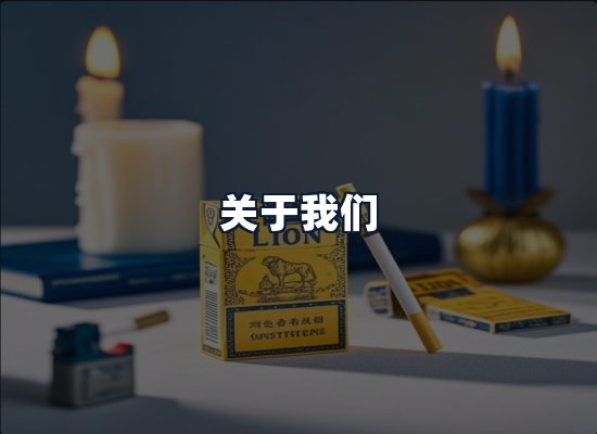 关于我们